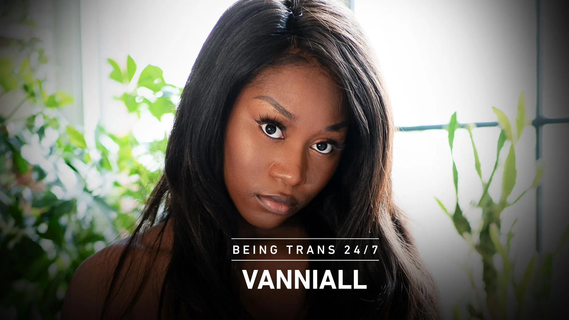 Vanniall - Transfixed