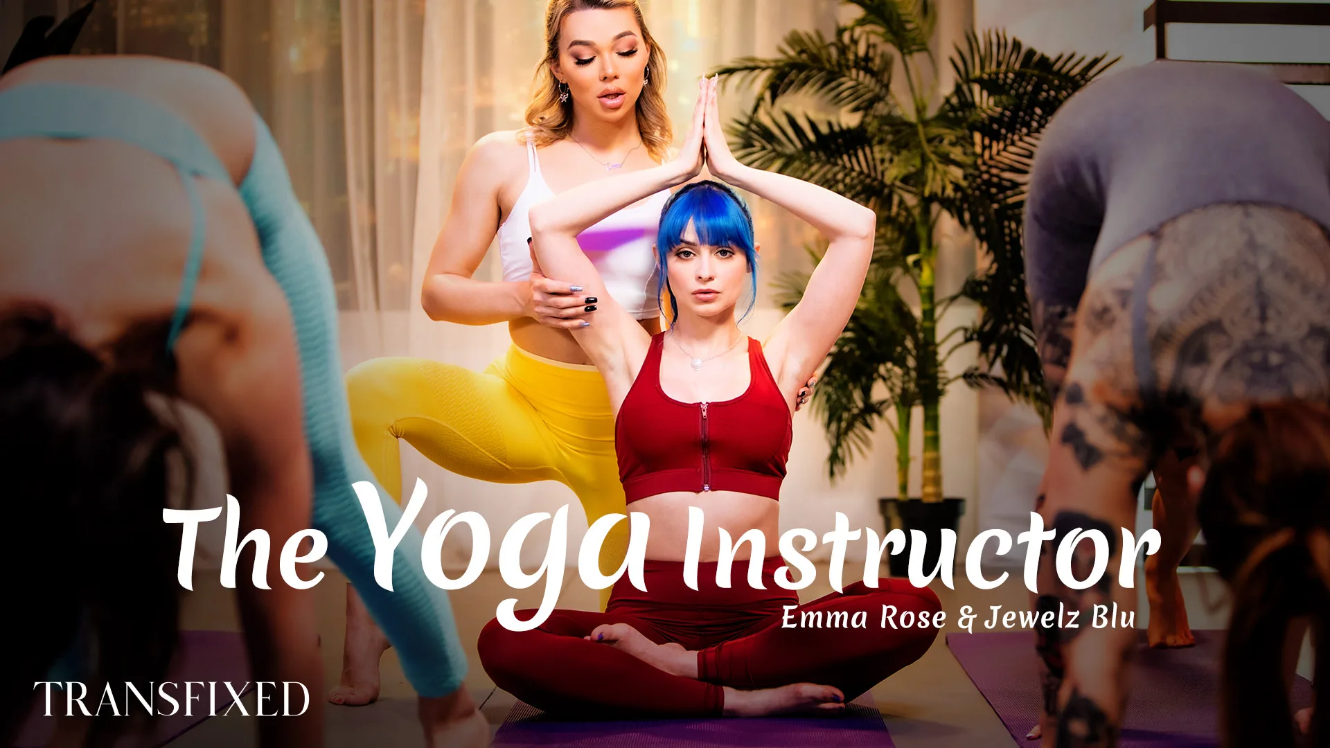 The Yoga Instructor - Transfixed